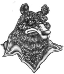 Papa Bear